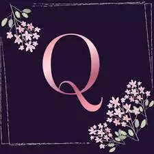 whatsapp dp q